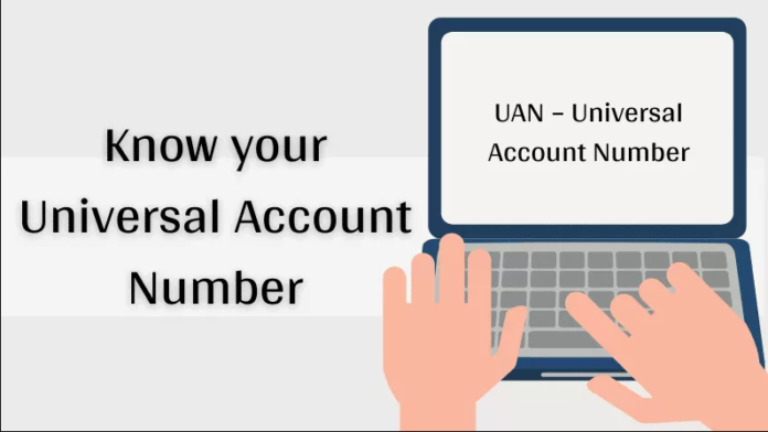 Know Your Application Status and UAN Number Easily Online